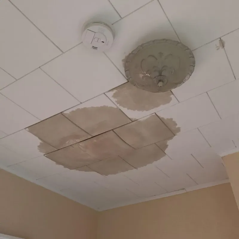 Ceiling Water Damage Repair in Rose Hill, NC