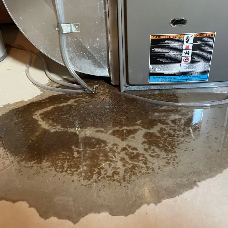 Pipe Burst and Leak Restoration in Rose Hill, NC