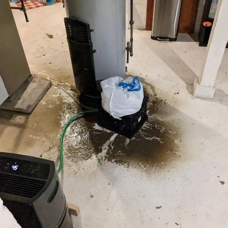 Sewage Backup Cleanup Service in Rose Hill, NC